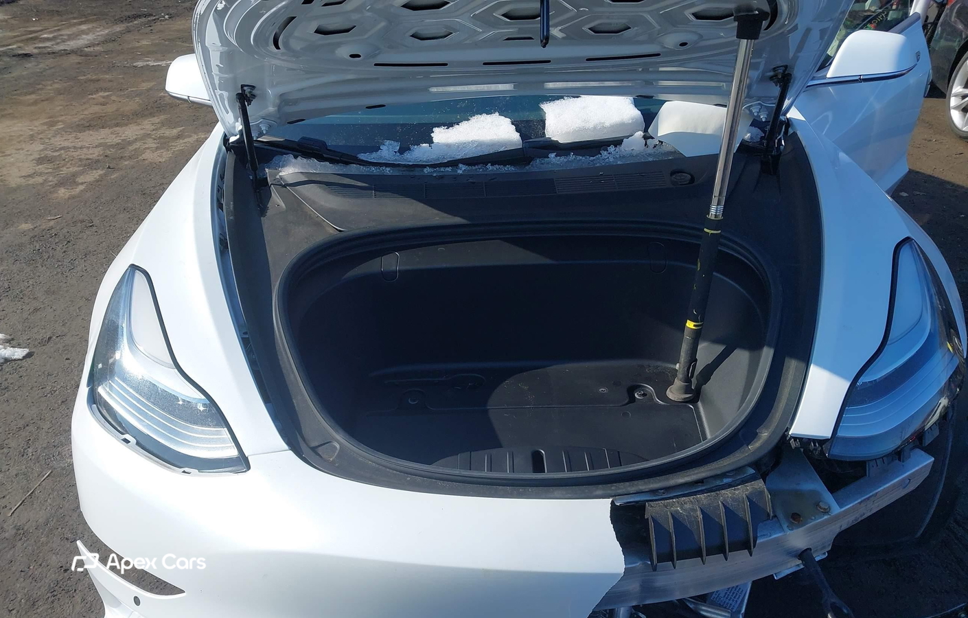 Tesla Model 3 2019