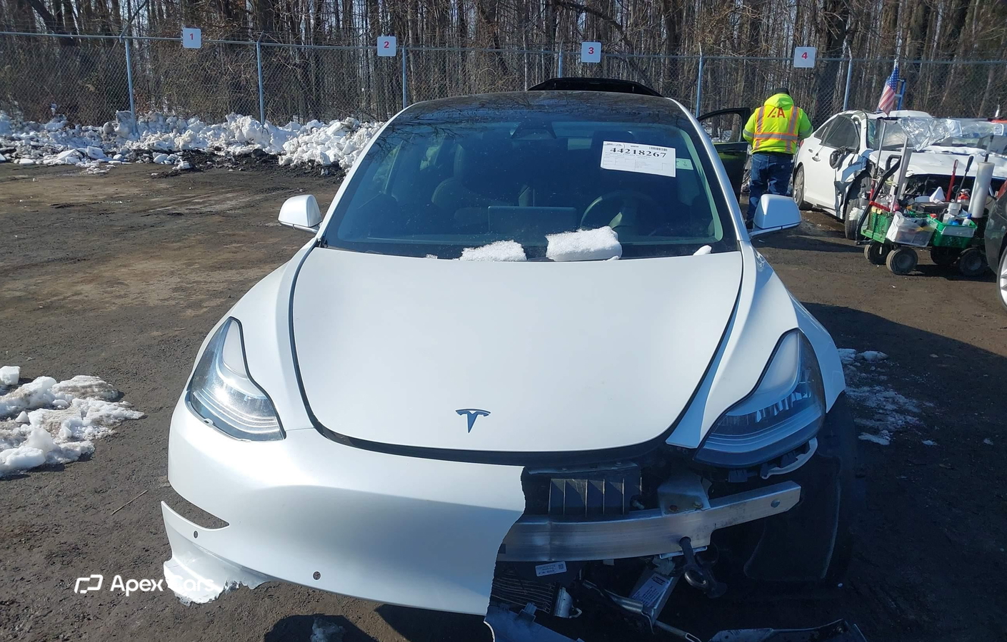 Tesla Model 3 2019