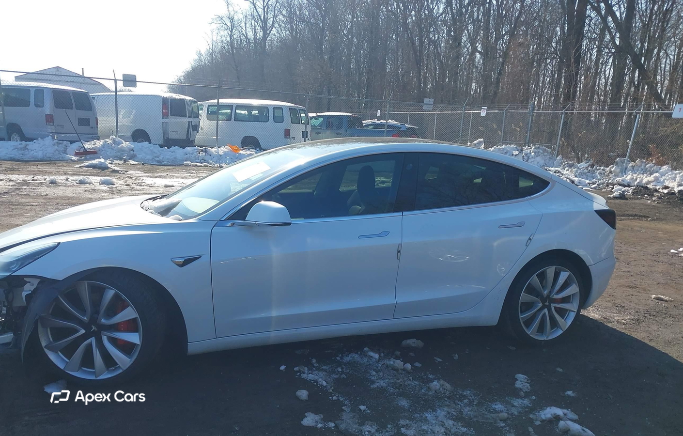 Tesla Model 3 2019