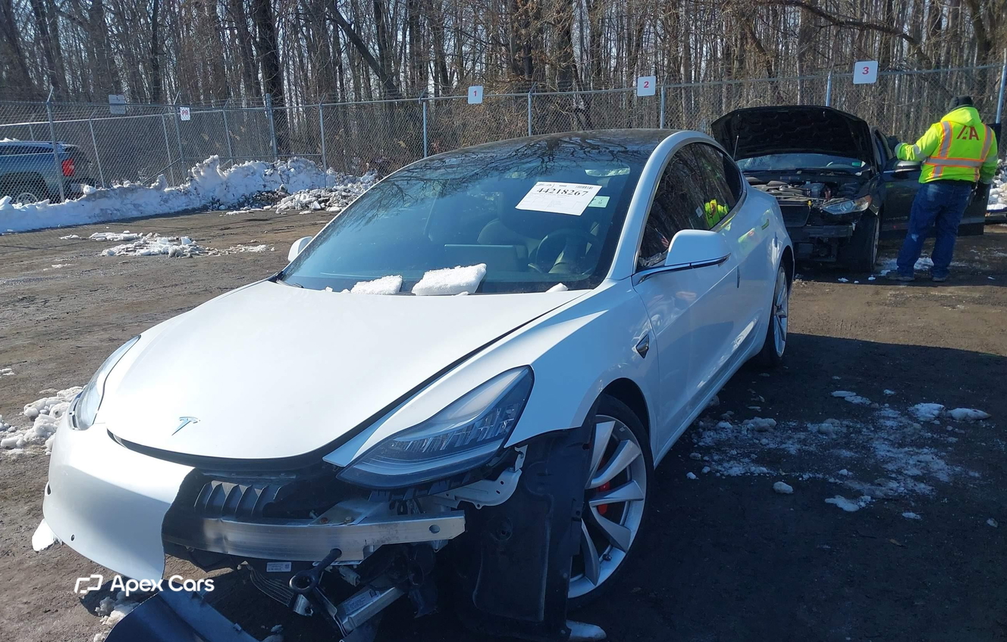 Tesla Model 3 2019