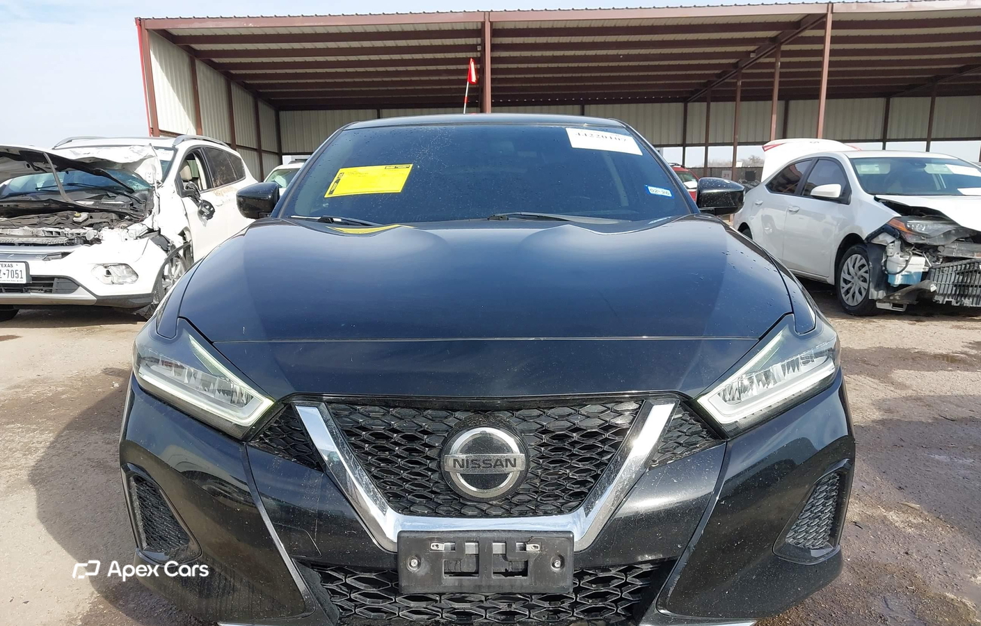 Nissan Maxima 2019