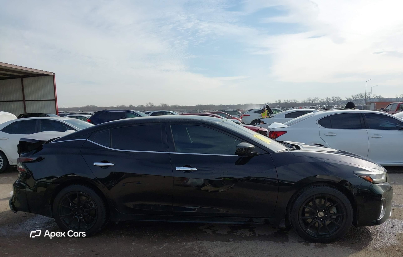 Nissan Maxima 2019