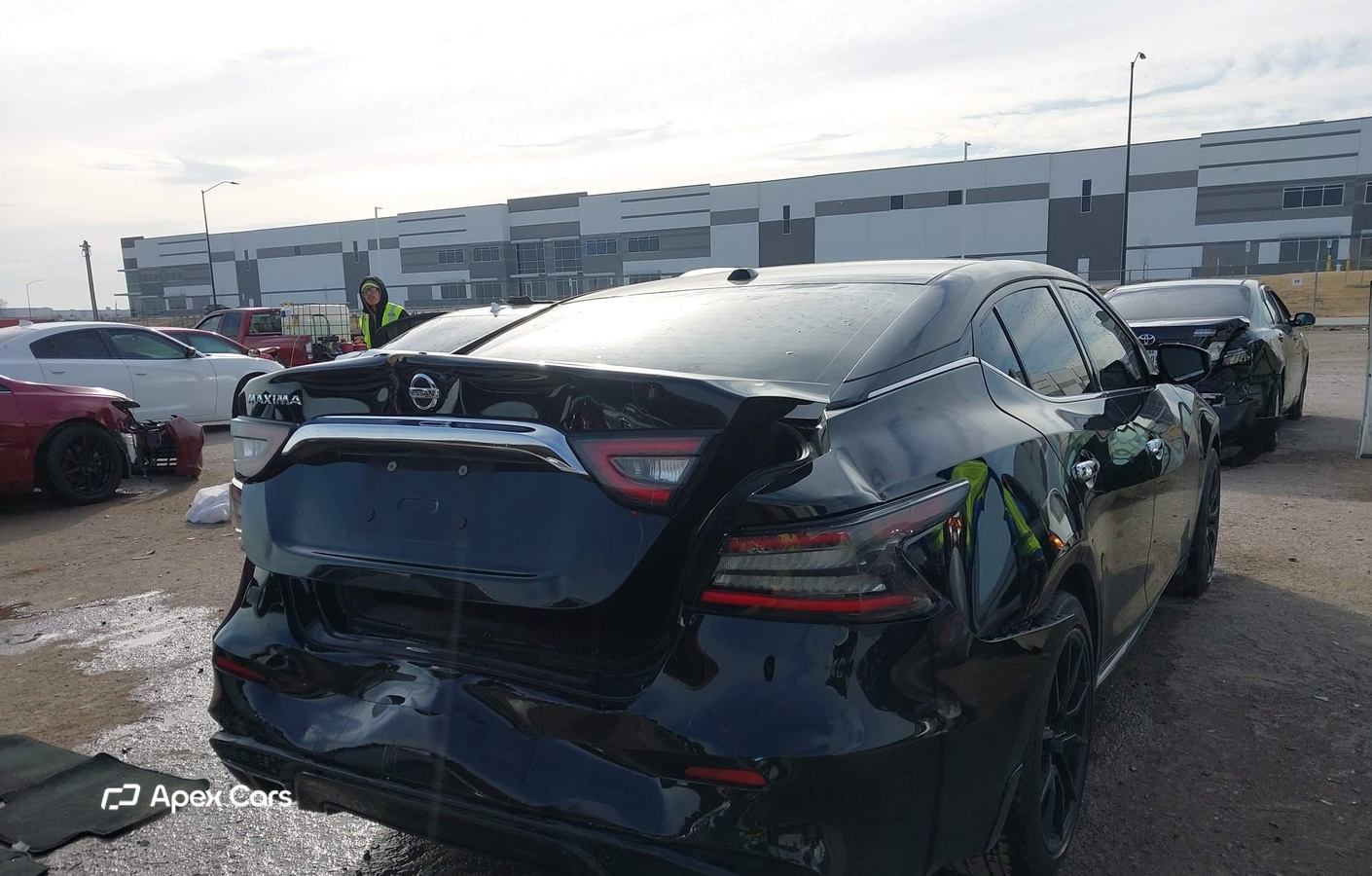 Nissan Maxima 2019