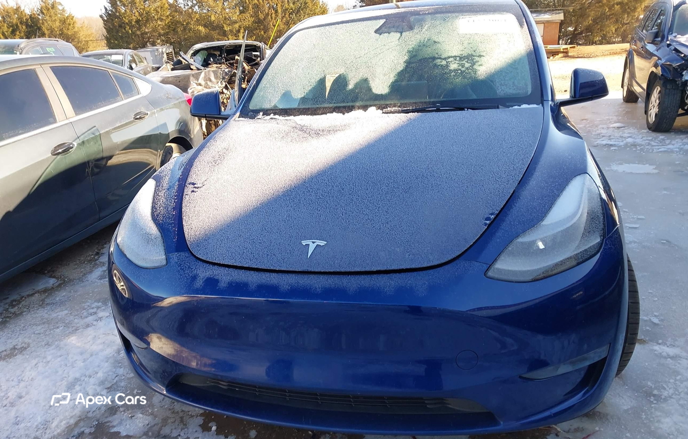 Tesla Model Y 2024