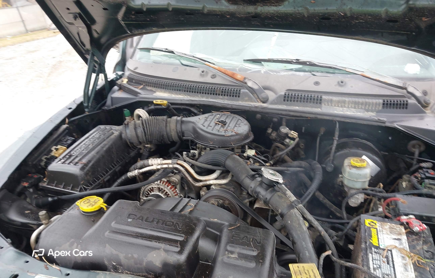 Dodge Dakota 2000