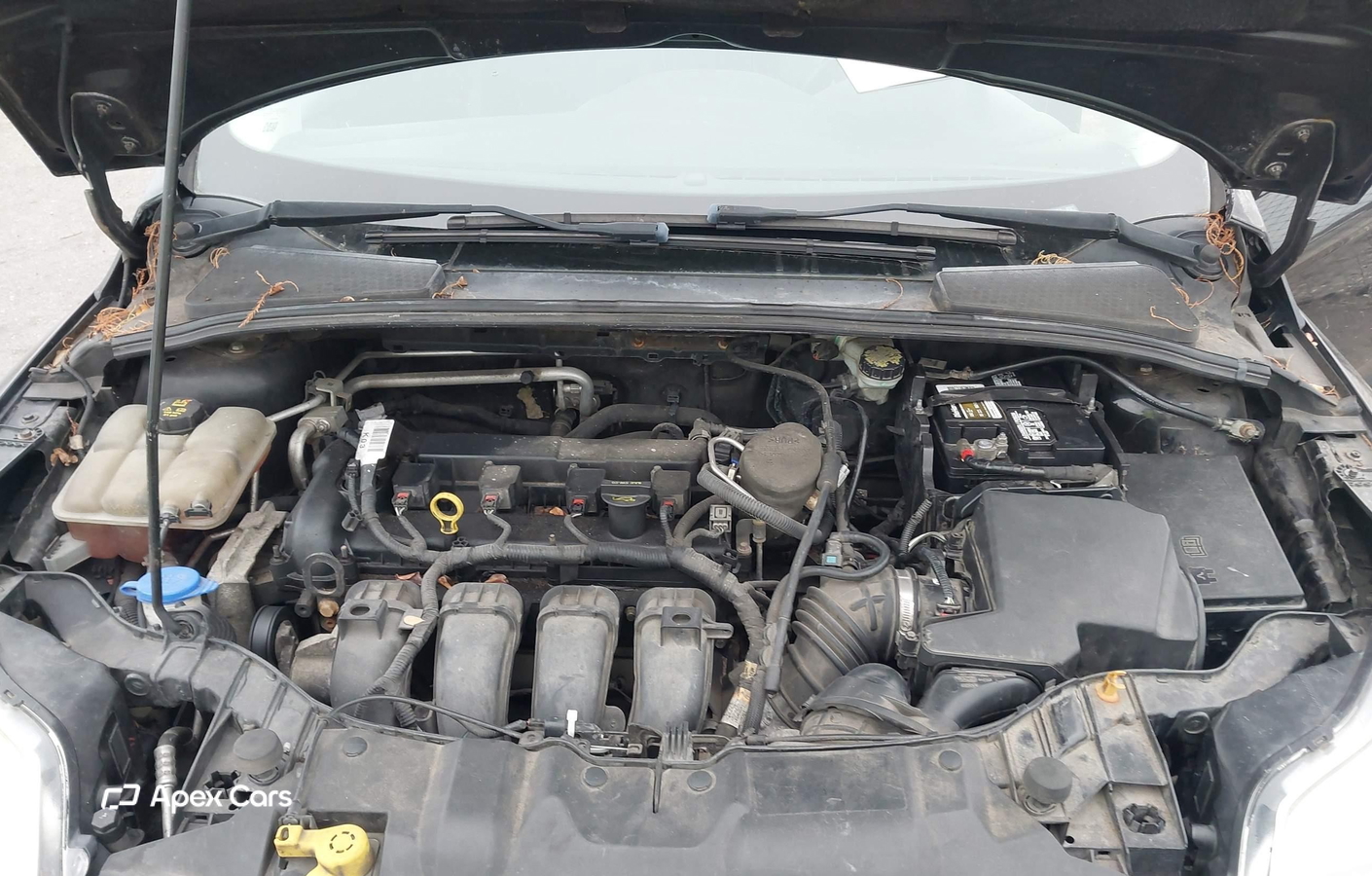 Ford Focus 2014