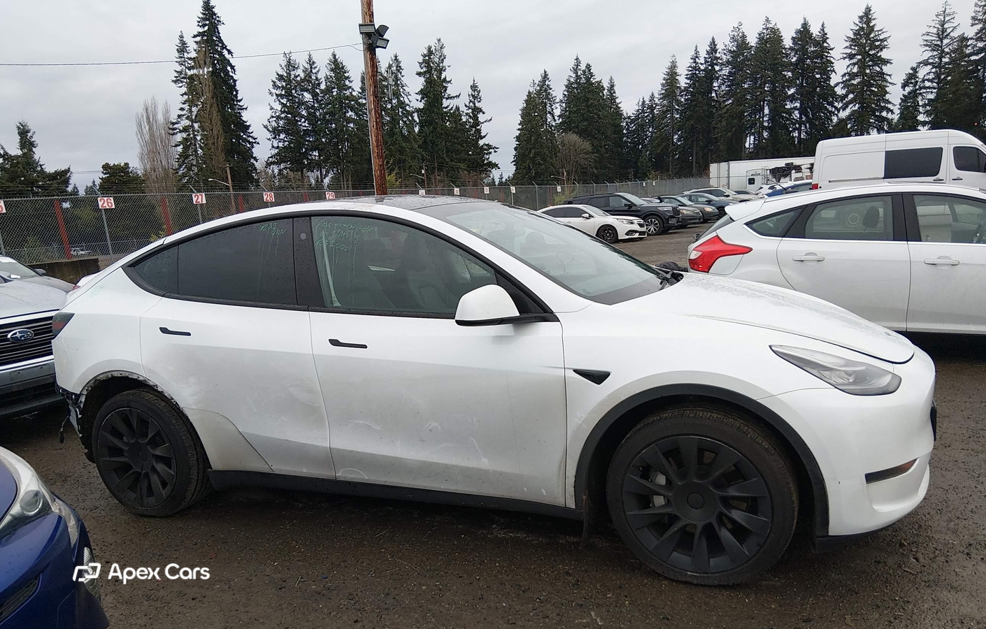 Tesla Model Y 2023