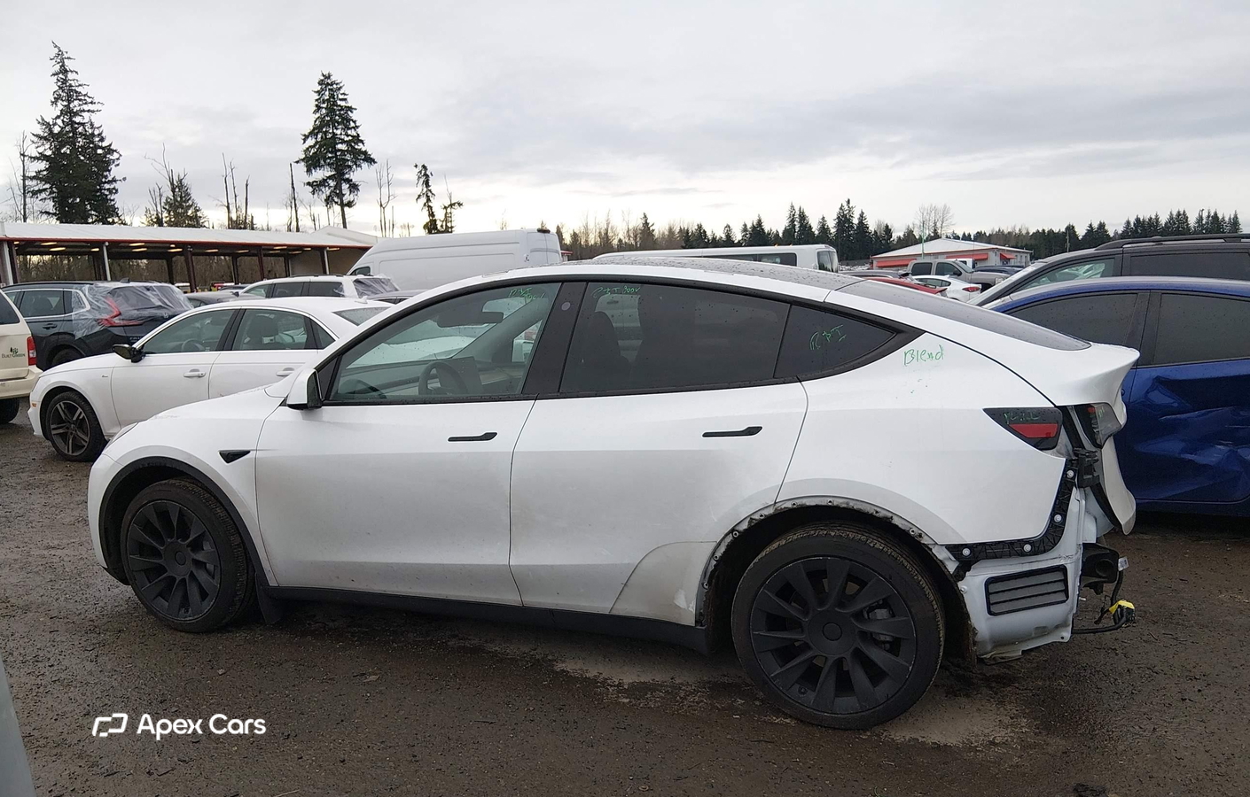 Tesla Model Y 2023
