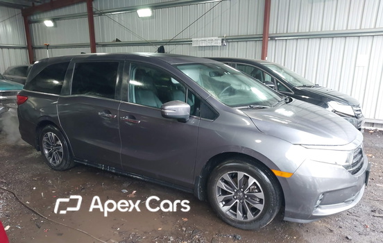 2024 Honda Odyssey - Zdjęcie 1 z 16