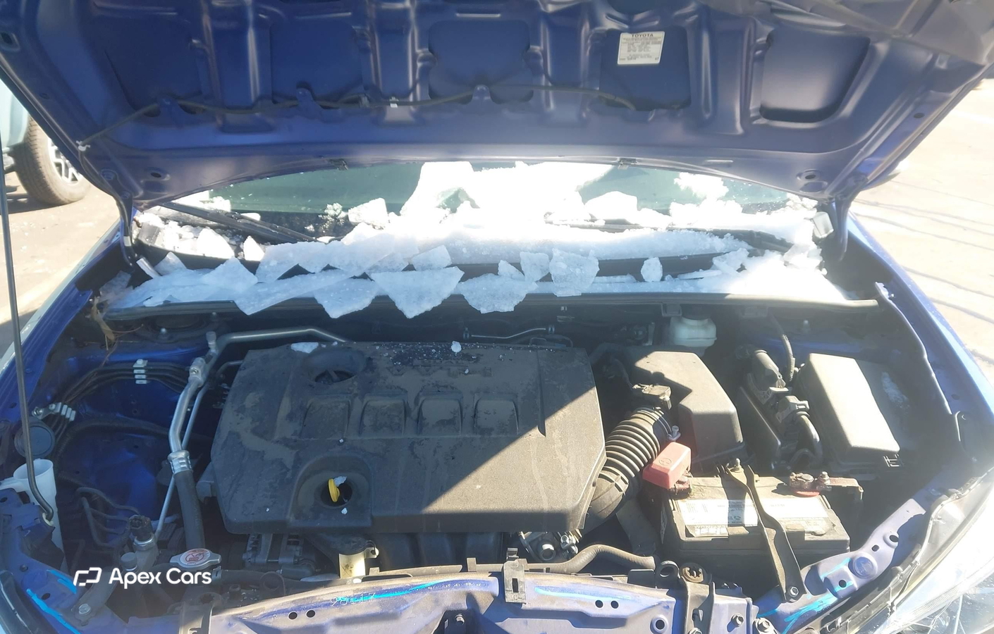Toyota Corolla 2019