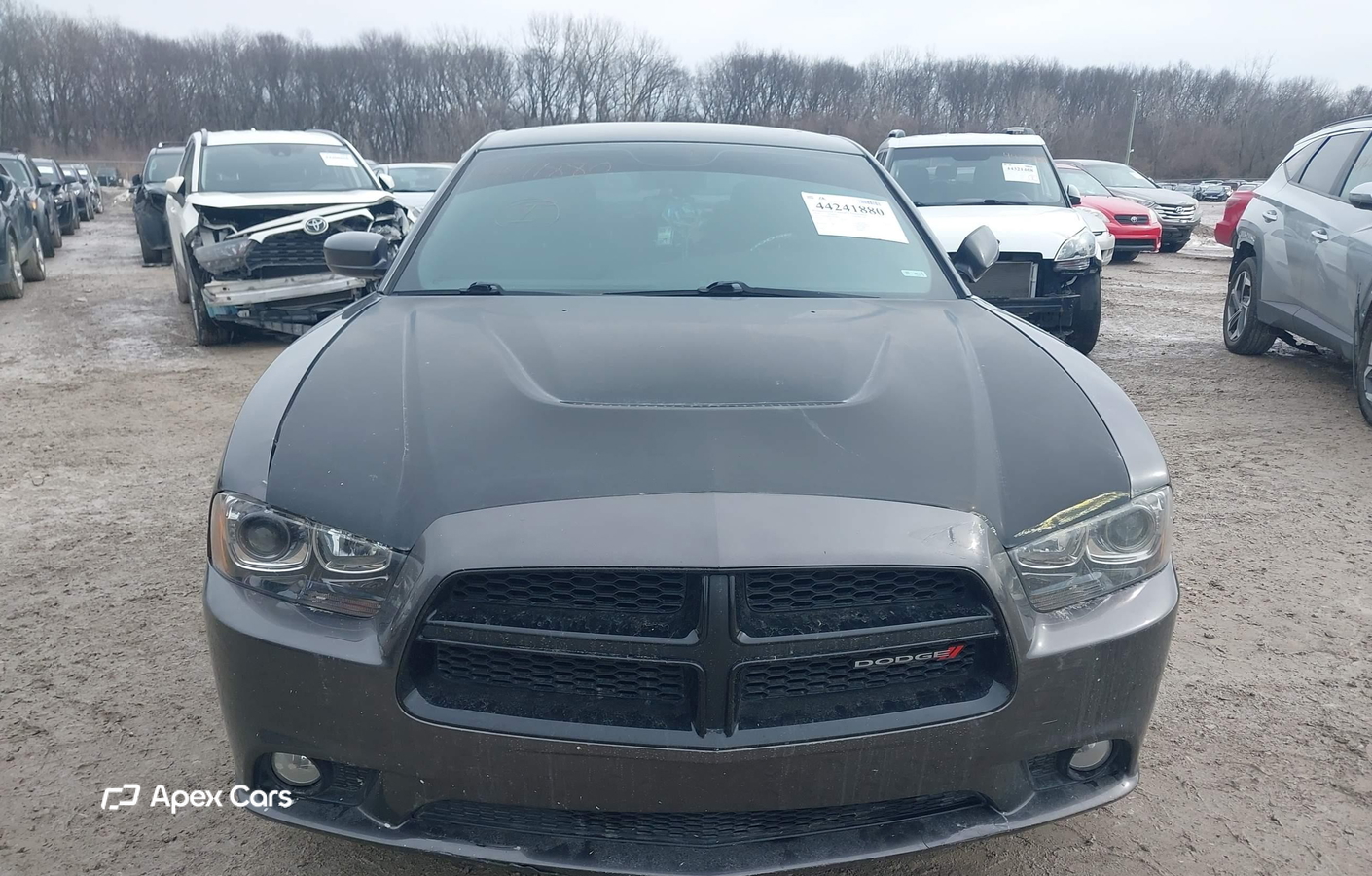 Dodge Charger 2014