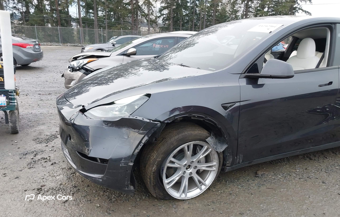 Tesla Model Y 2024