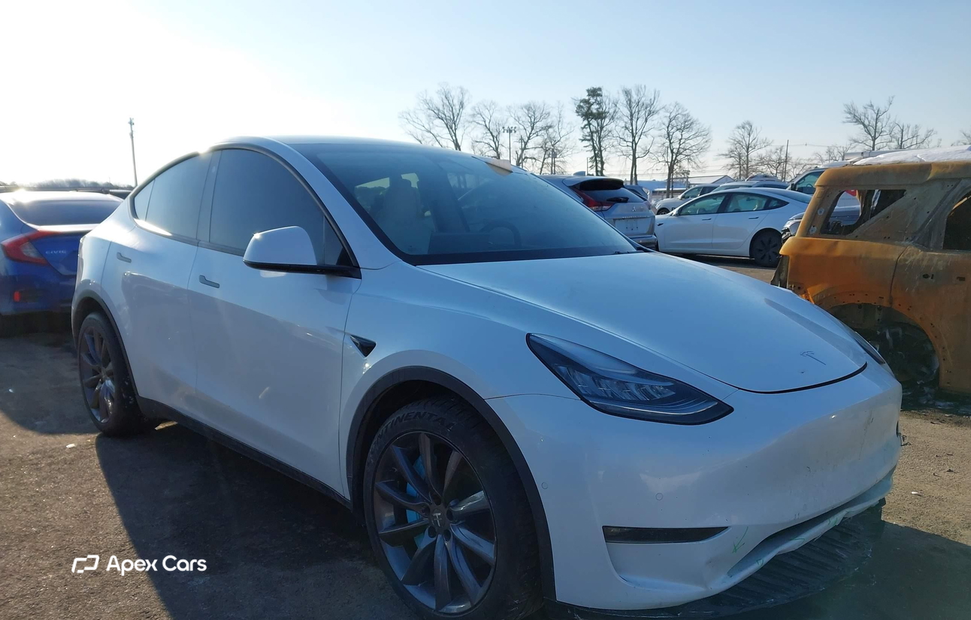 Tesla Model Y 2021