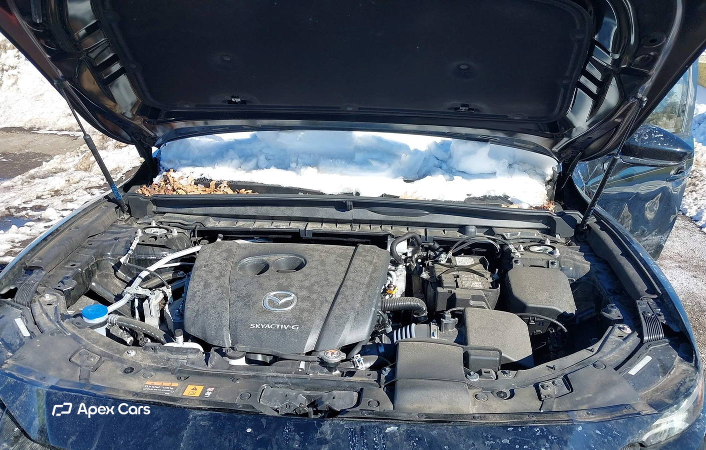 Mazda CX-50 2024