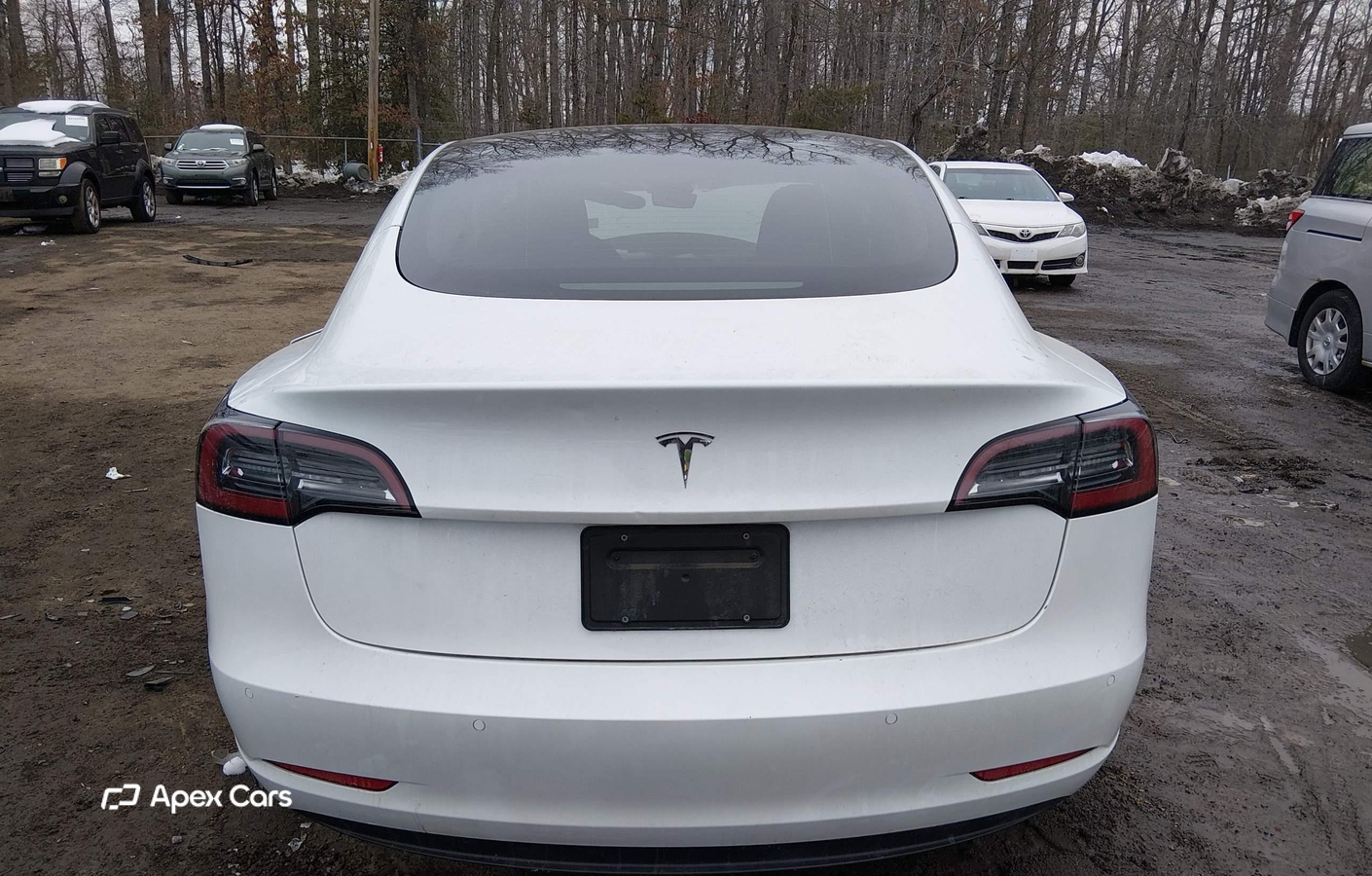 Tesla Model 3 2021