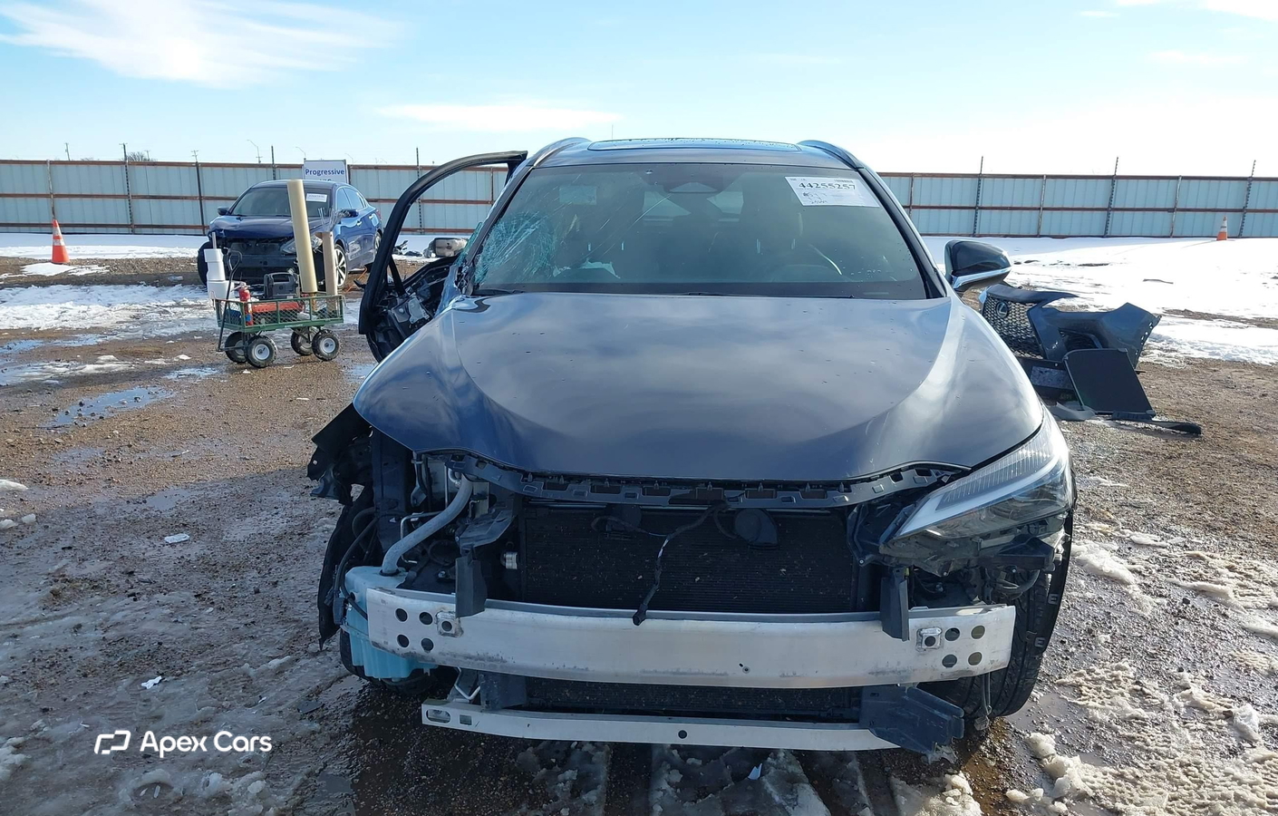 Lexus NX 2024