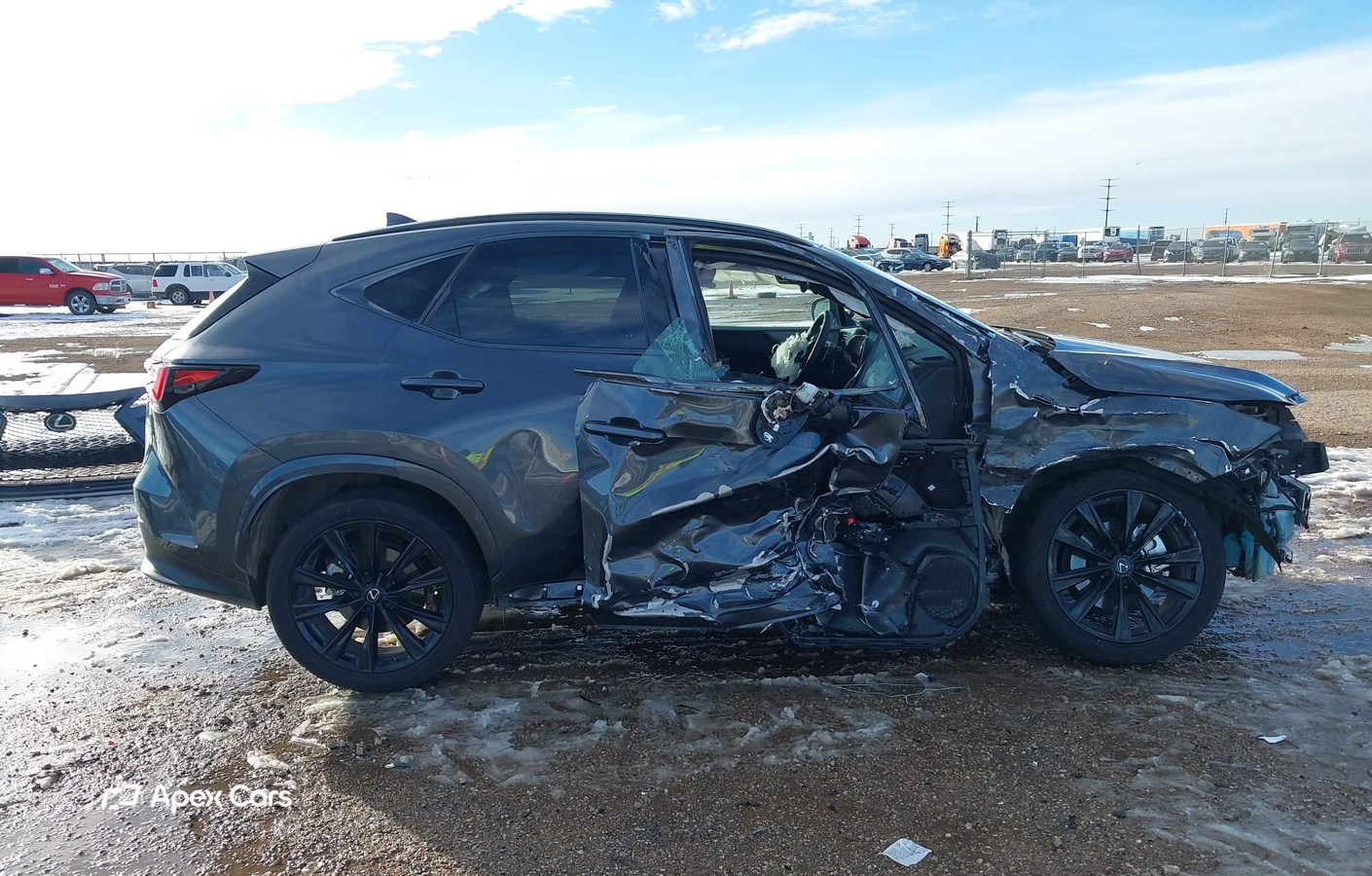Lexus NX 2024