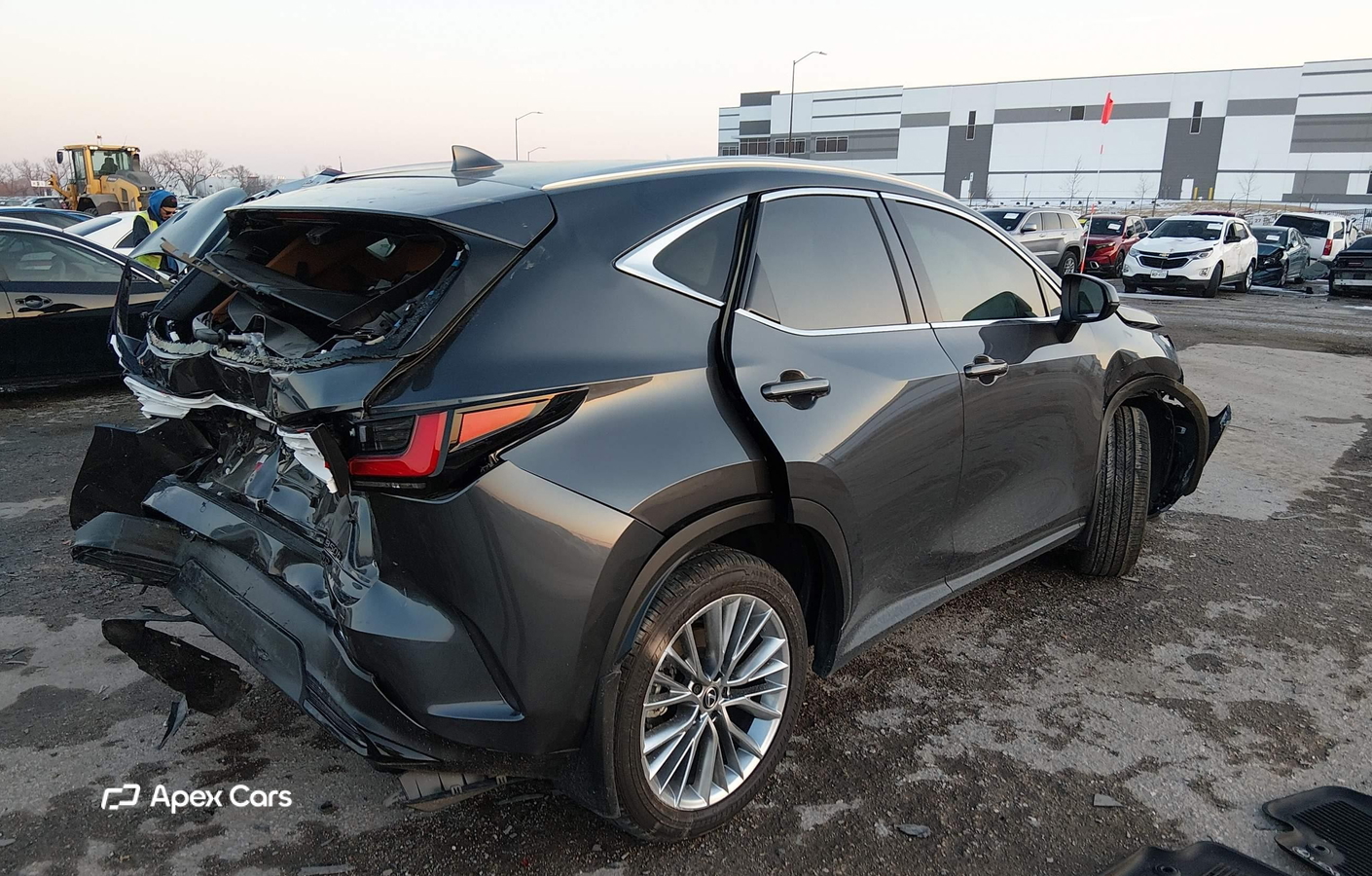 Lexus NX 2025