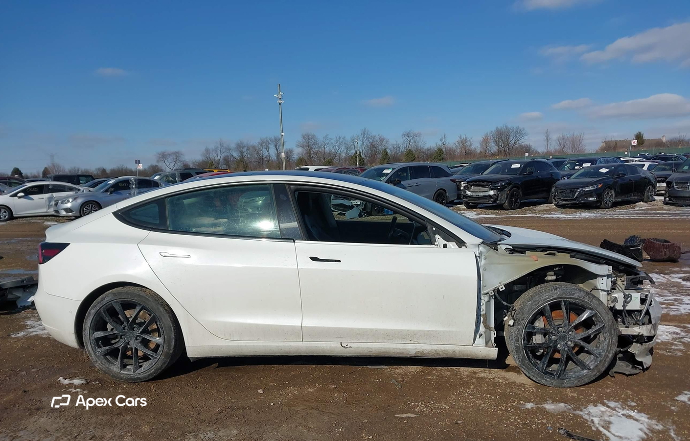 Tesla Model 3 2019