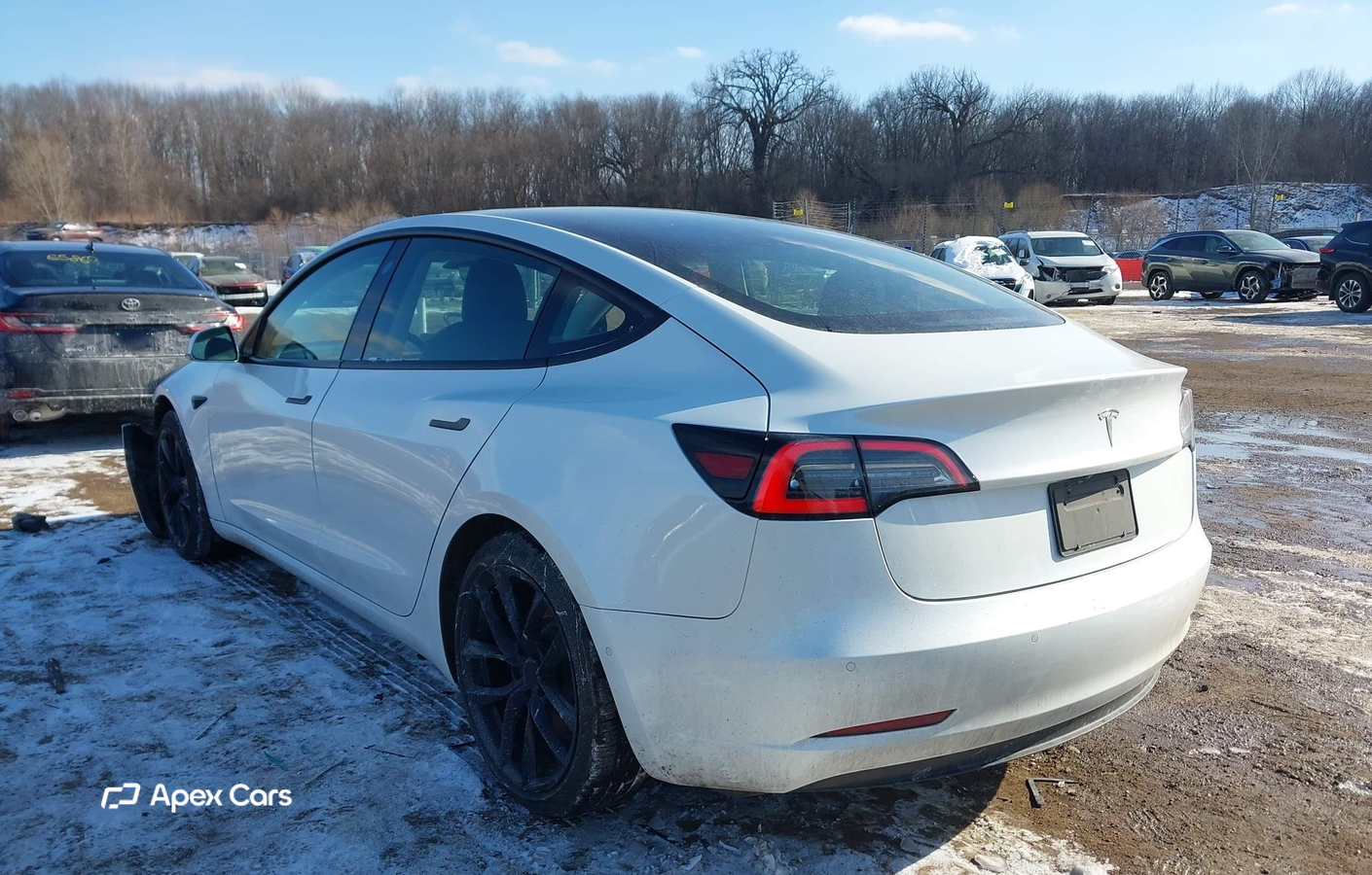 Tesla Model 3 2019