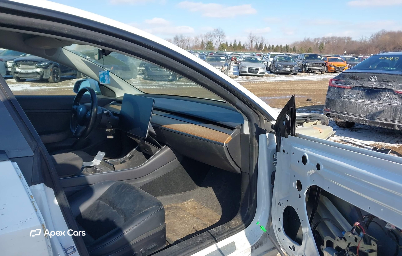 Tesla Model 3 2019