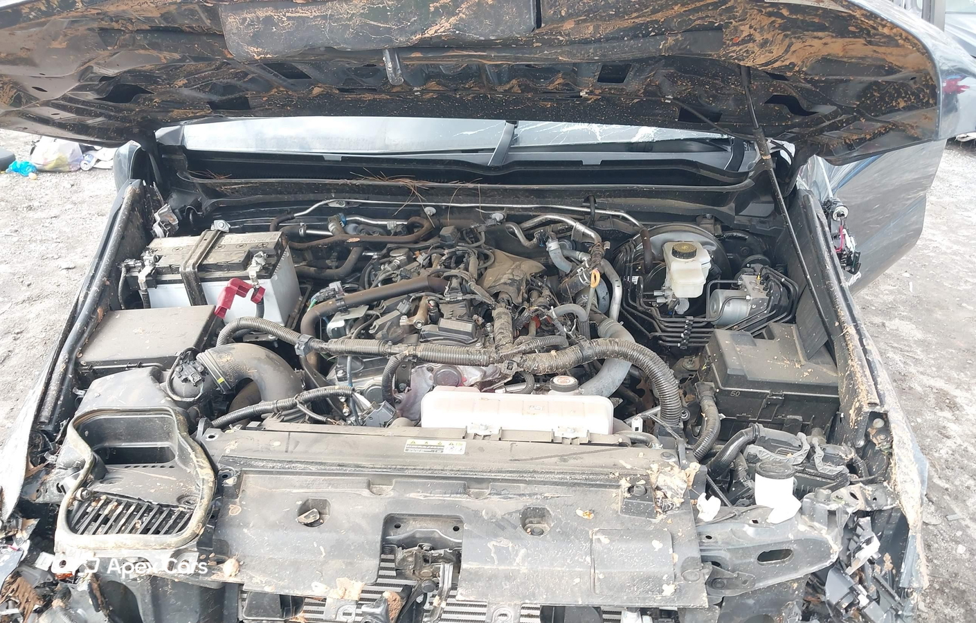 Toyota Tacoma 2024