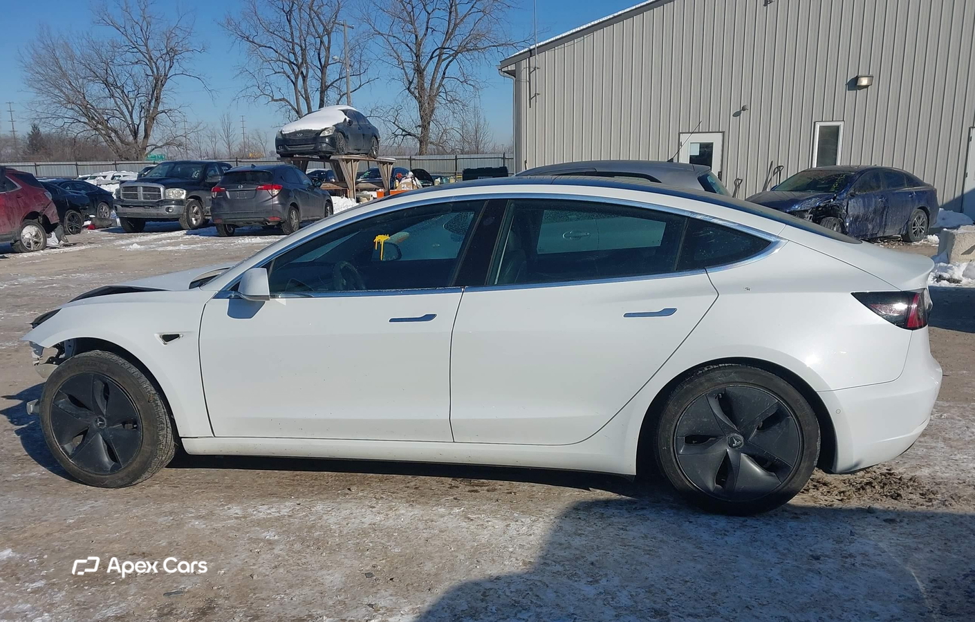 Tesla Model 3 2019