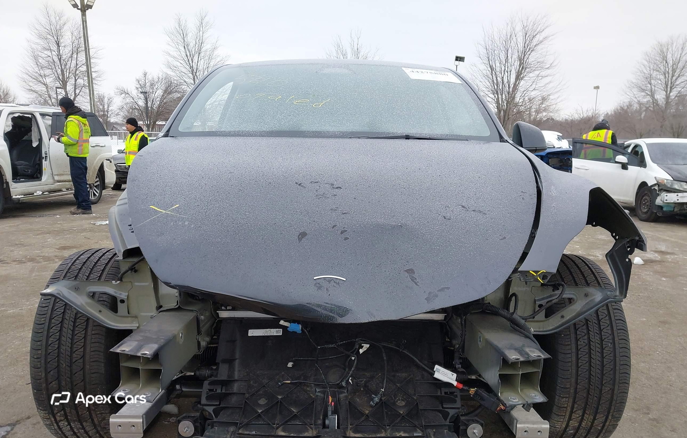 Tesla Model Y 2024