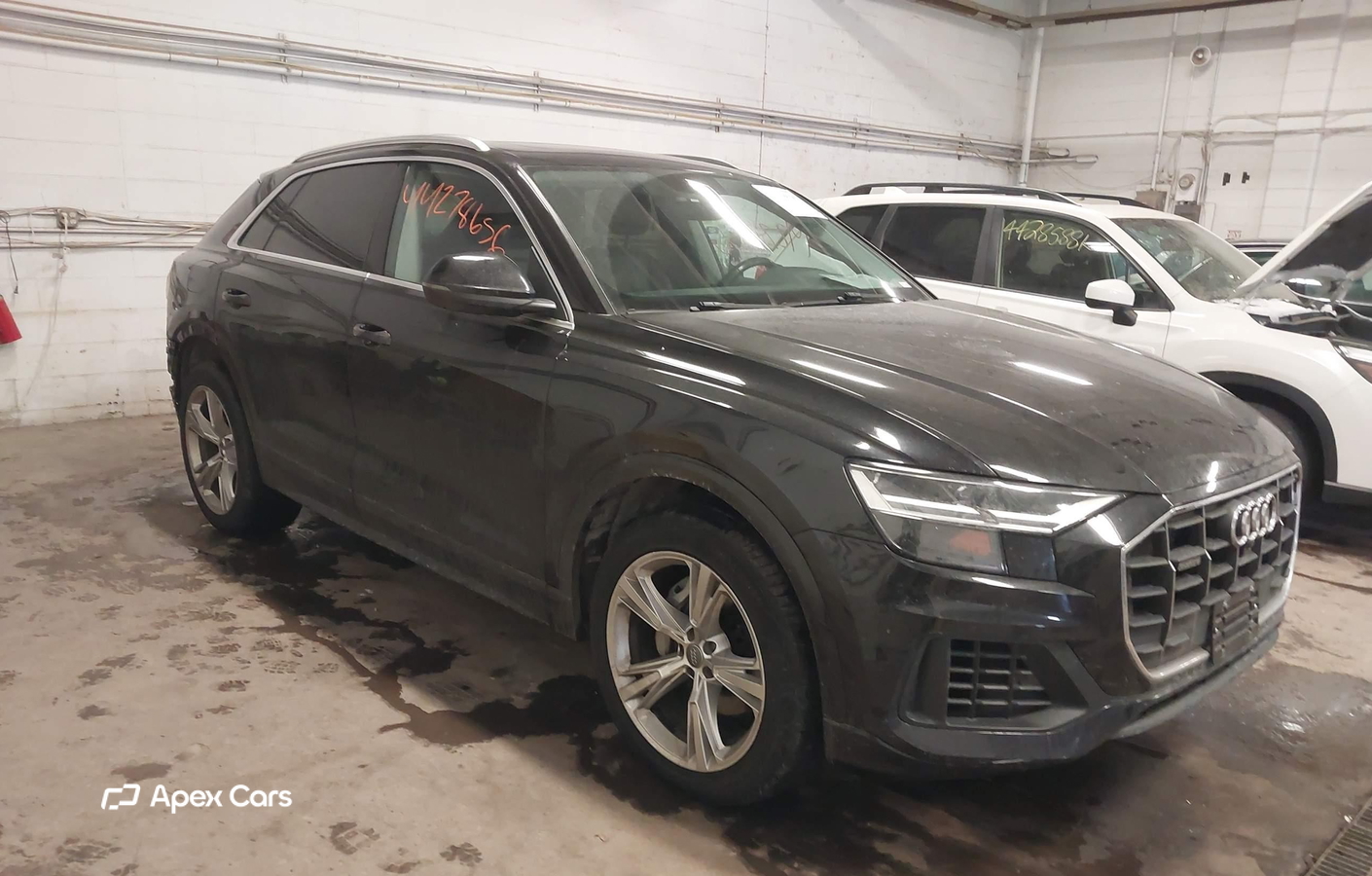 Audi Q8 2019