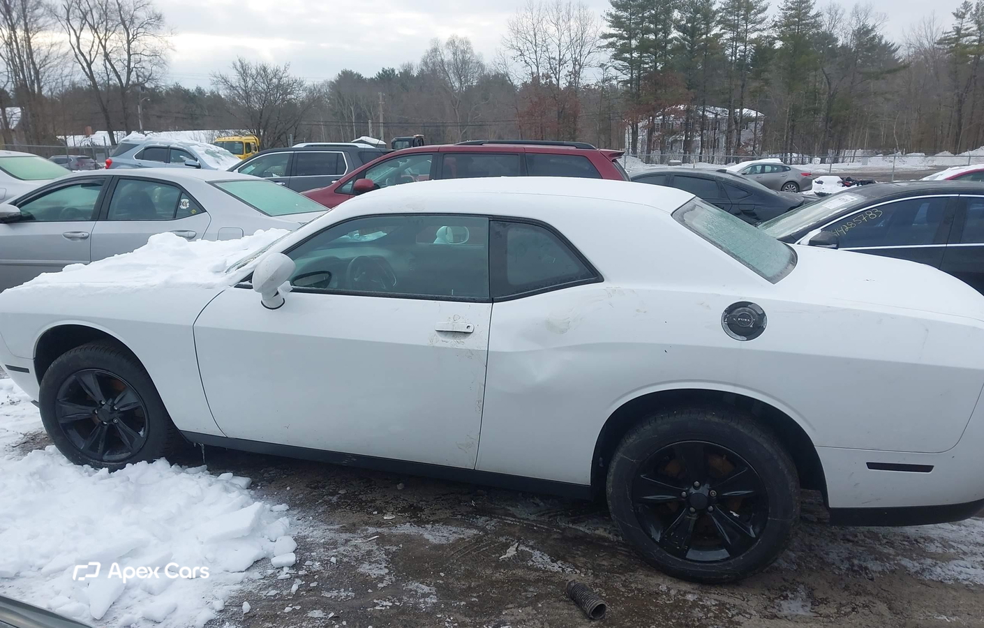Dodge Challenger 2016