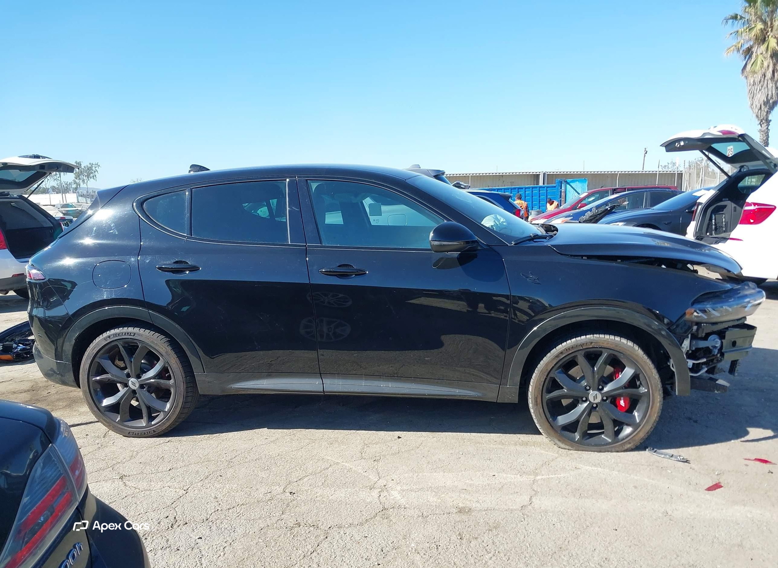 Dodge Hornet 2024