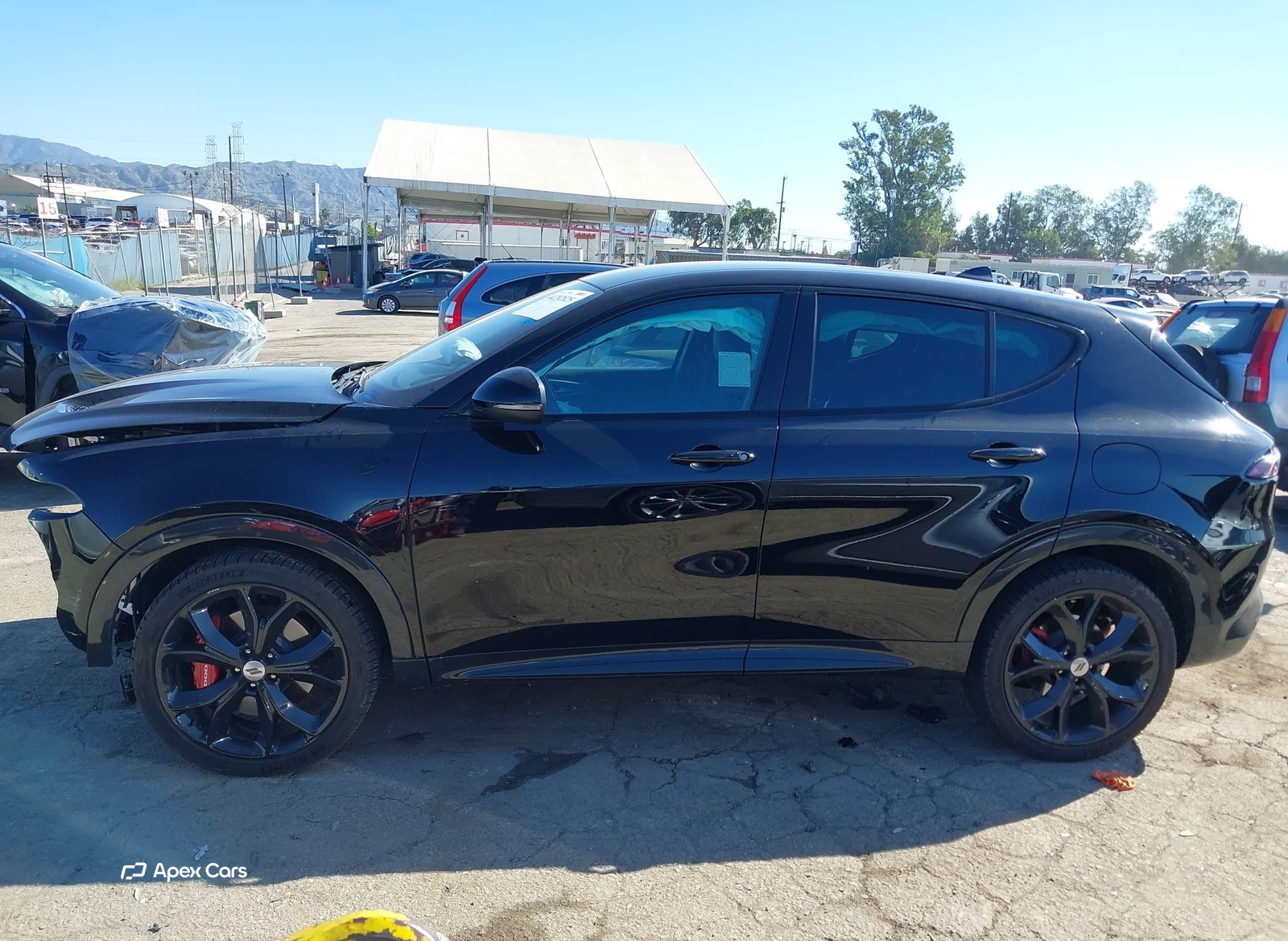 Dodge Hornet 2024