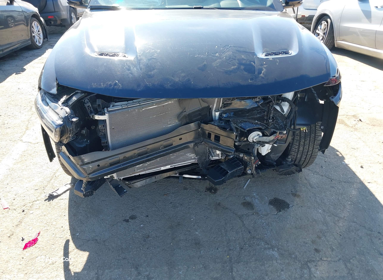 Dodge Hornet 2024