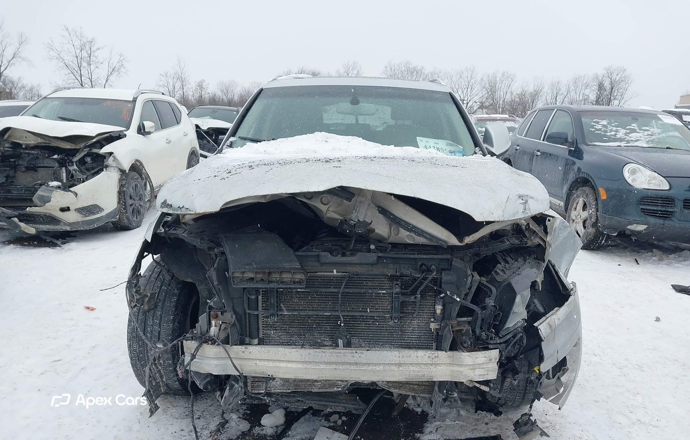 Audi Q5 2010