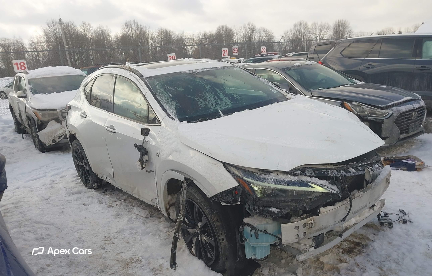 Lexus NX 2023
