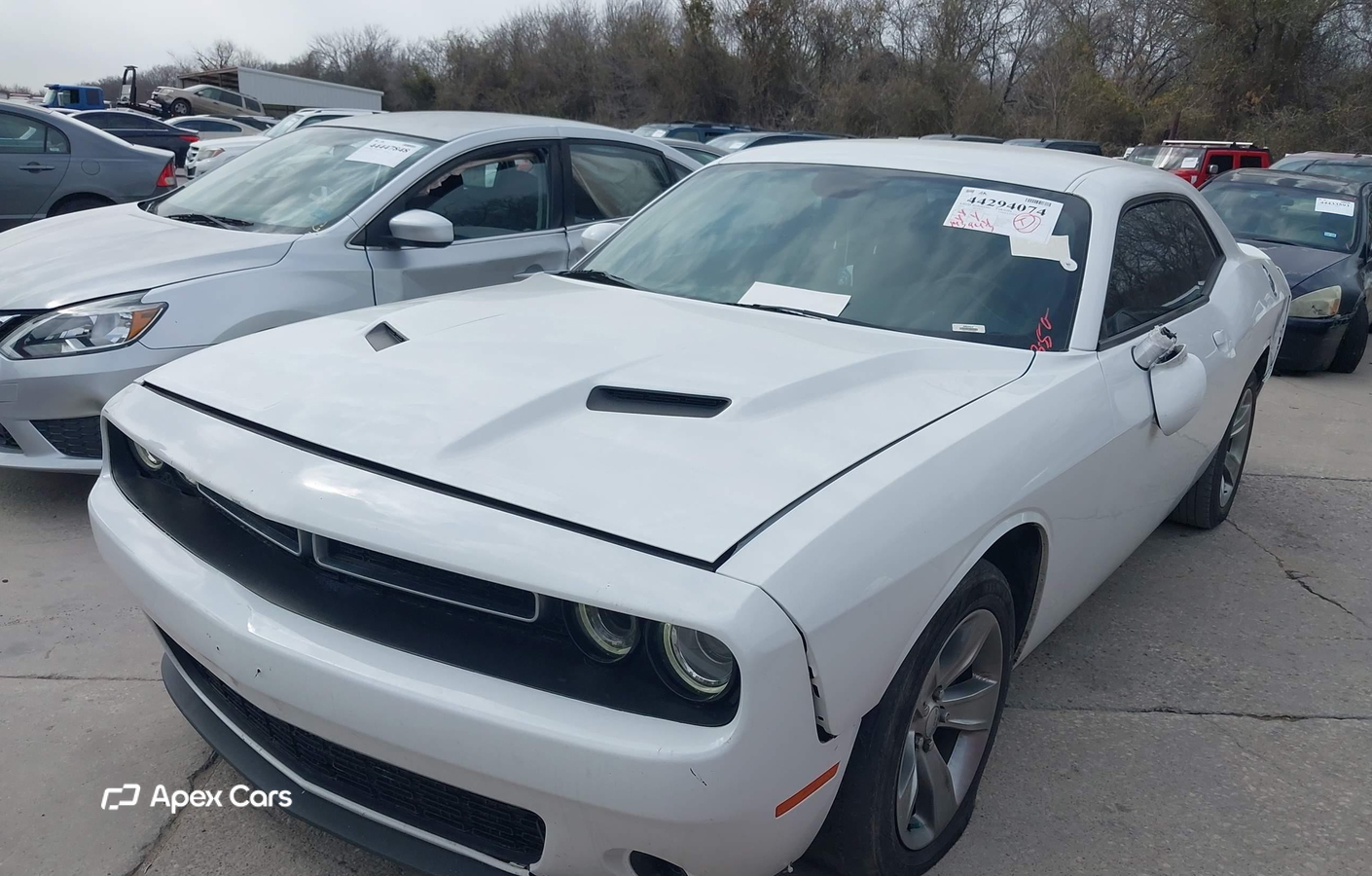 Dodge Challenger 2019