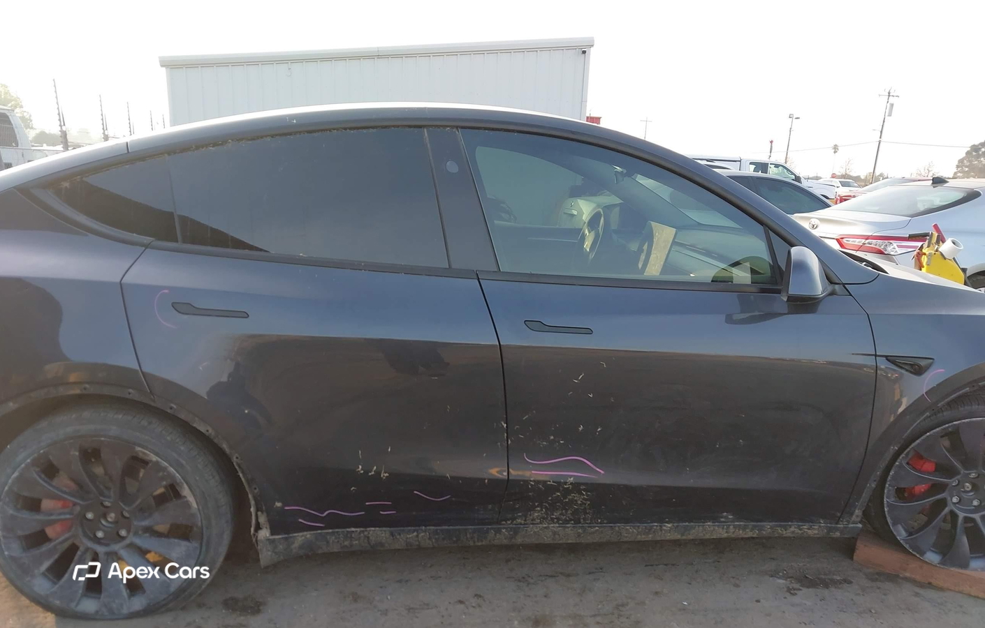 Tesla Model Y 2024