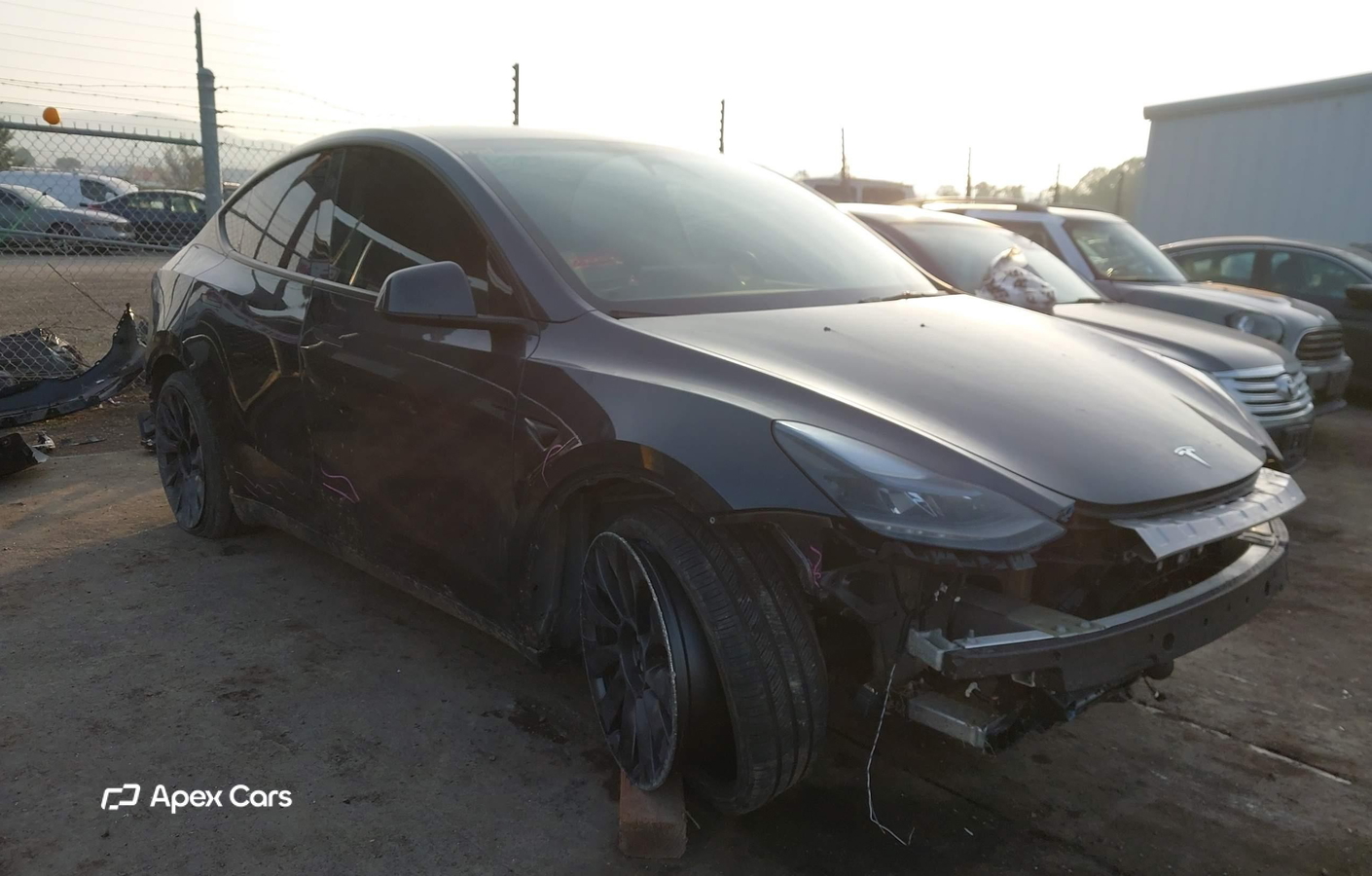 Tesla Model Y 2024