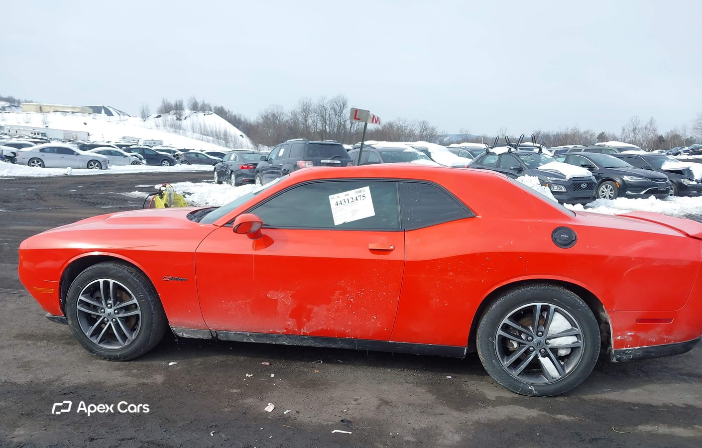 Dodge Challenger 2019