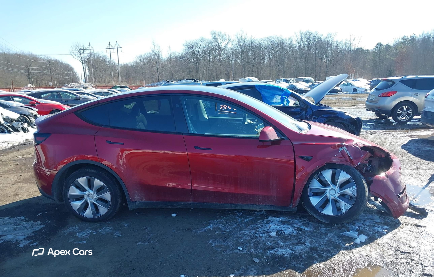 Tesla Model Y 2024