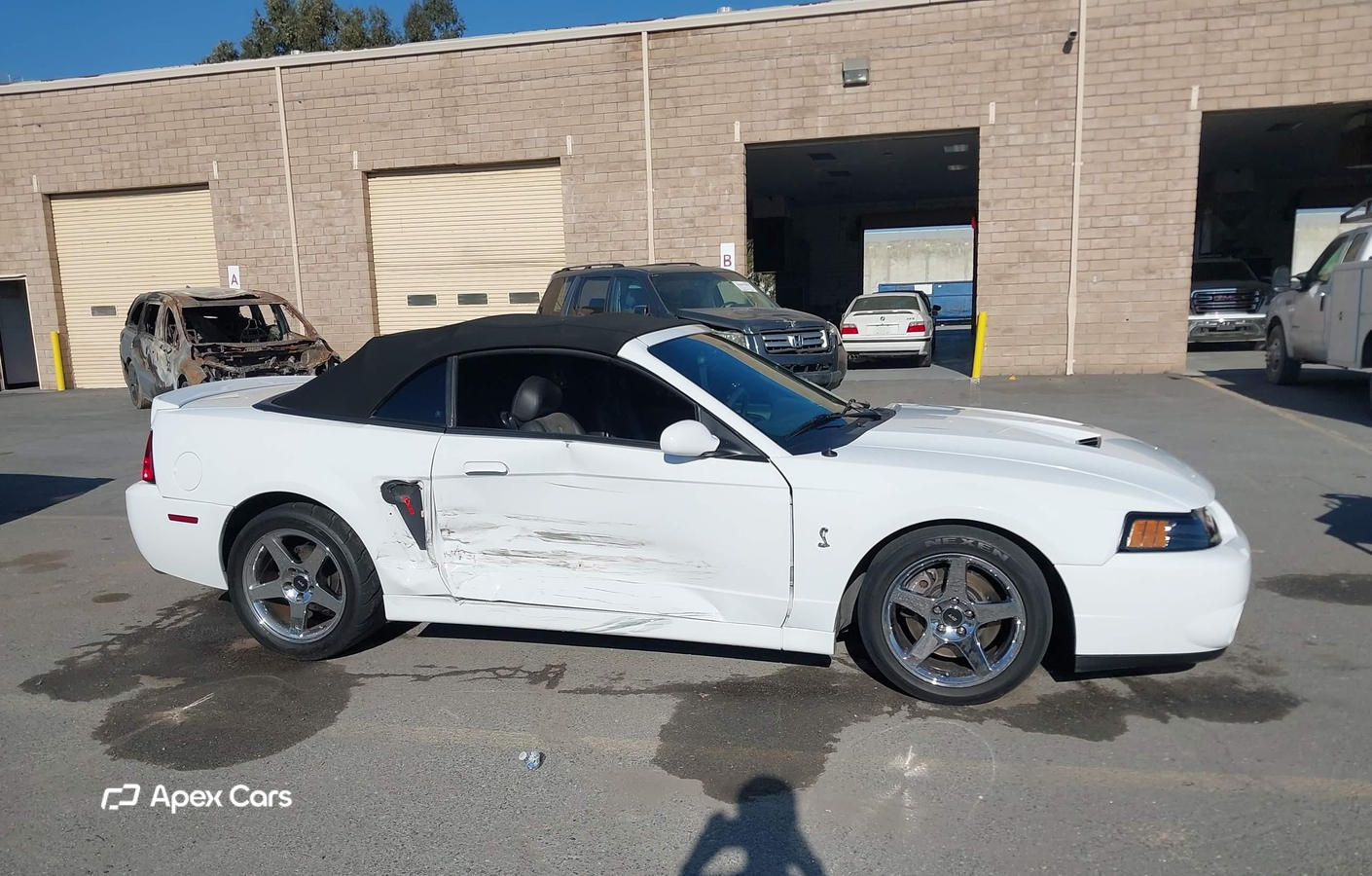 Ford Mustang 2004