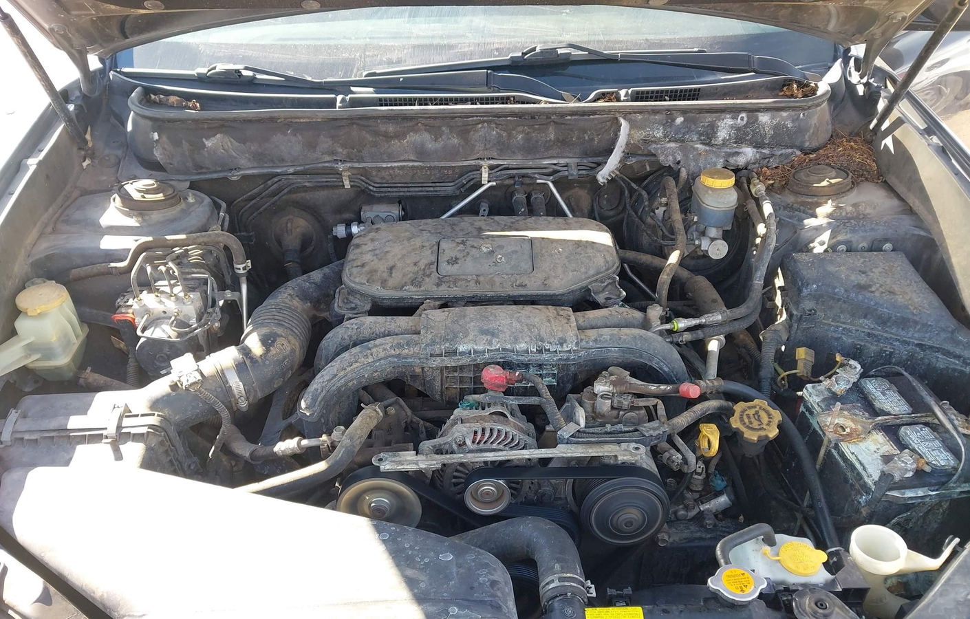 Subaru Outback 2010