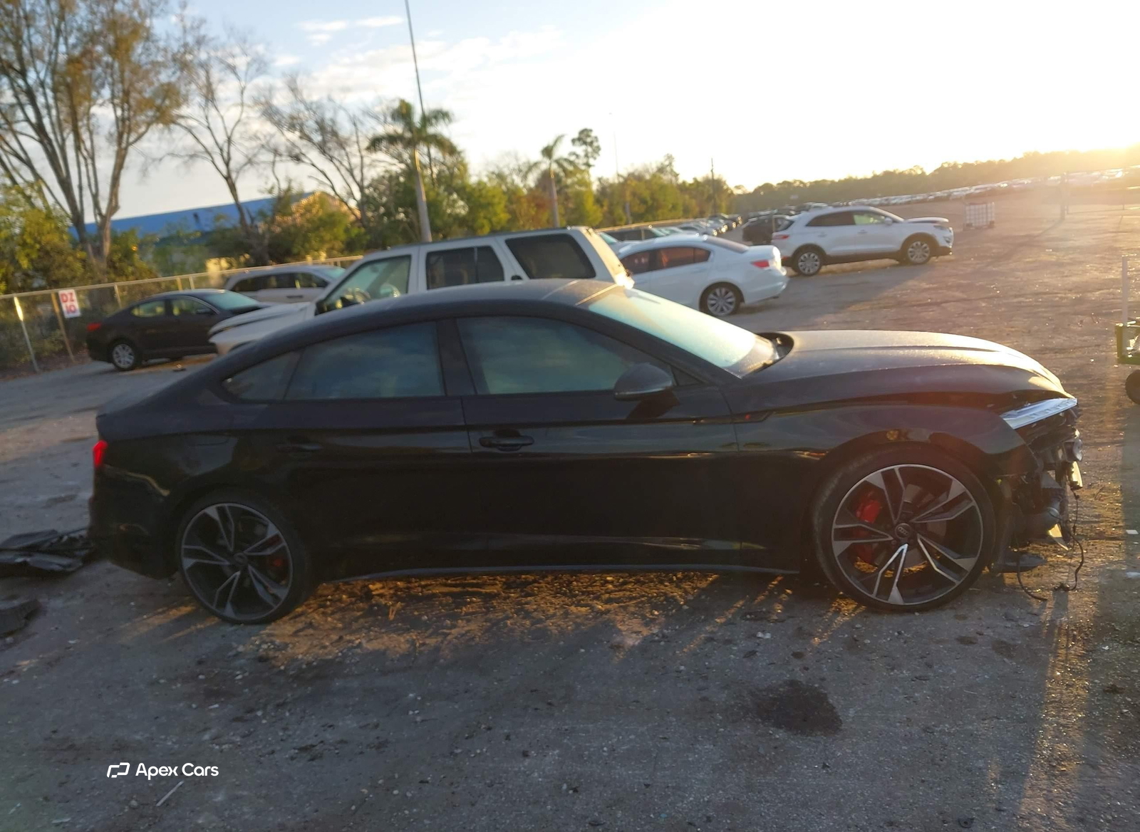 Audi S5 2025