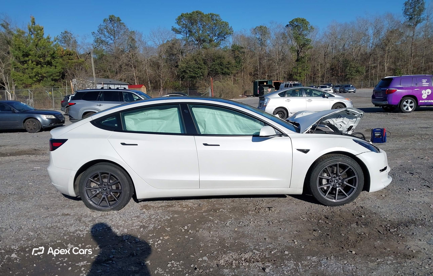 Tesla Model 3 2021