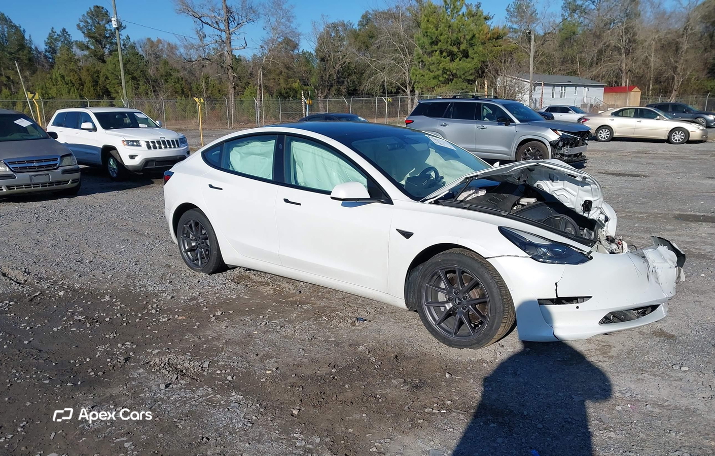 Tesla Model 3 2021