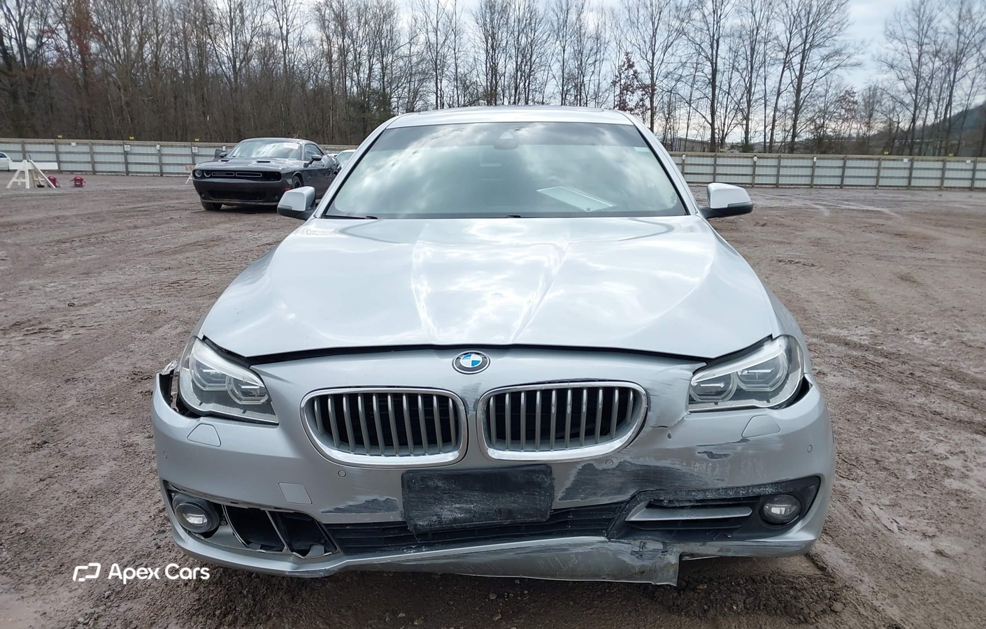 BMW Series 5 2016