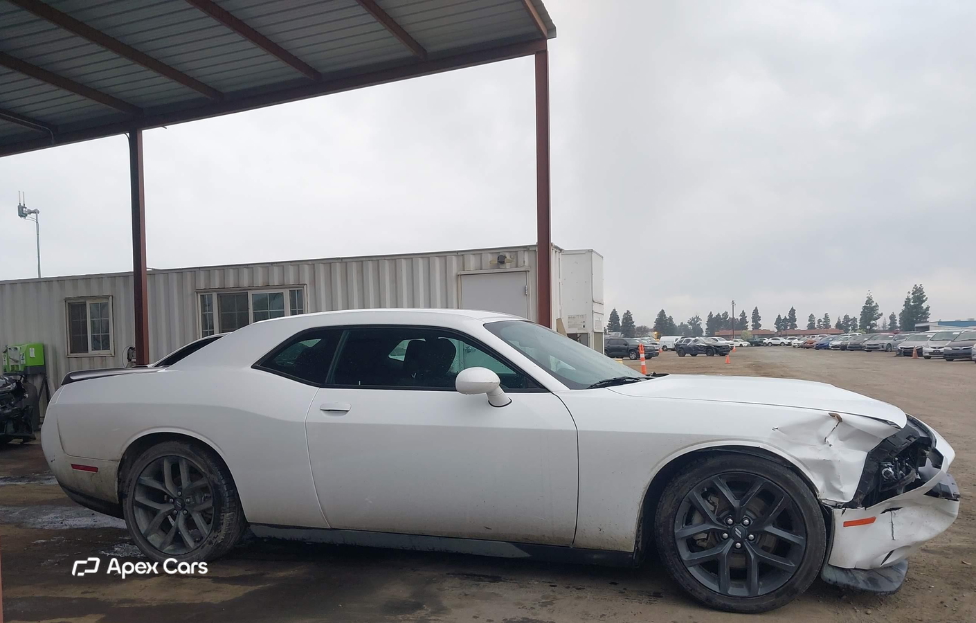Dodge Challenger 2023