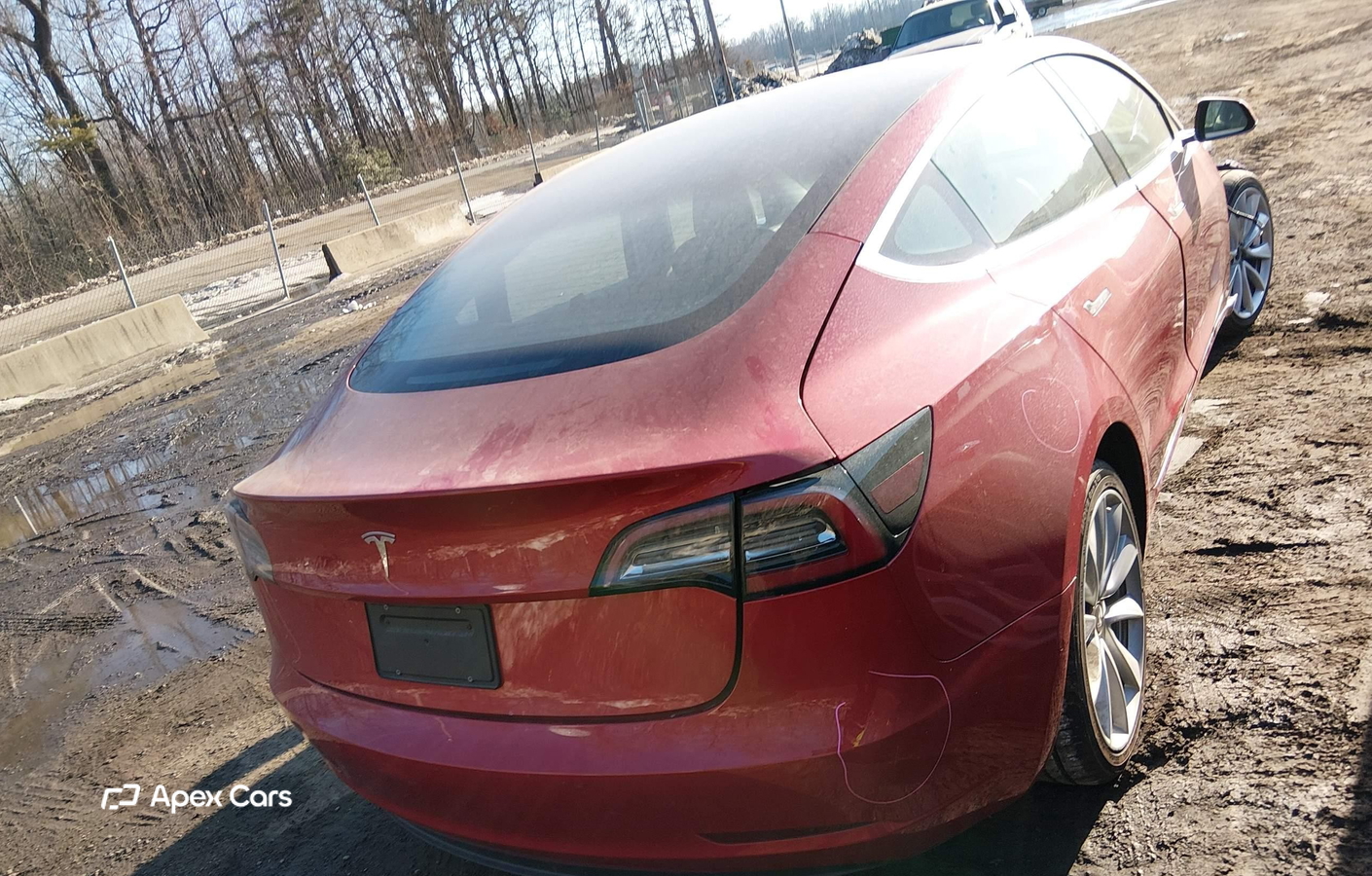 Tesla Model 3 2019