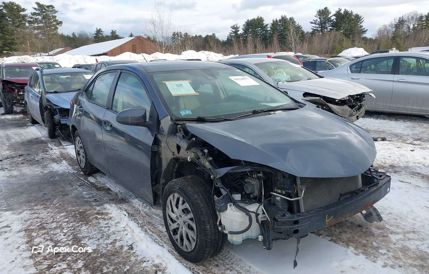 Toyota Corolla 2019
