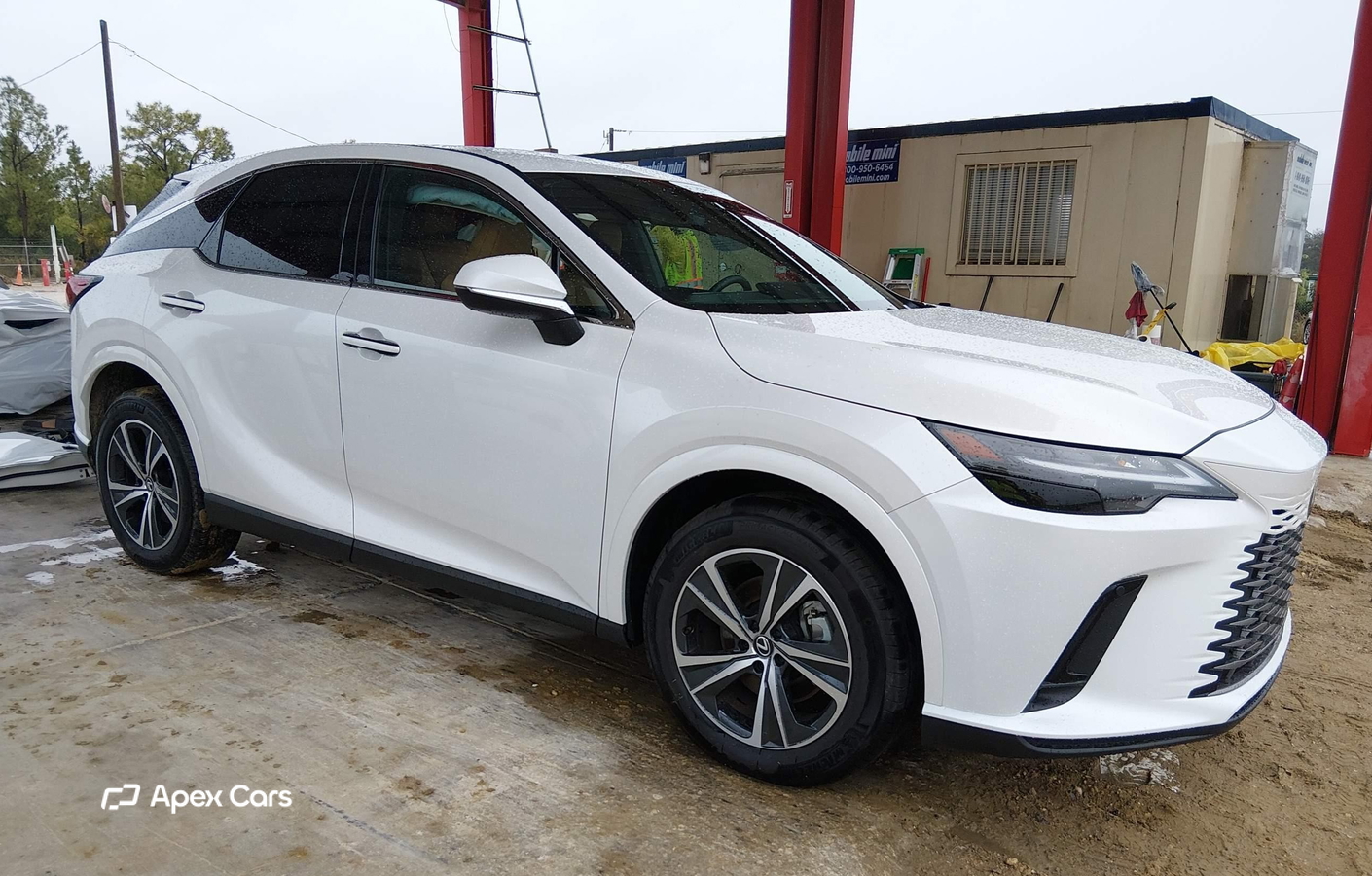 Lexus RX 2025
